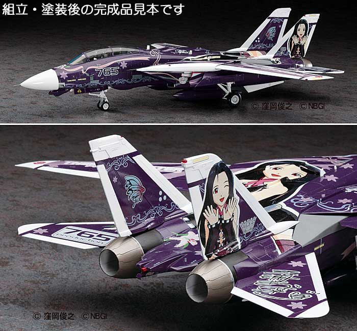 F-14D トムキャット アイドルマスター 三浦あずさ プラモデル (ハセガワ アイドルマスター No.SP270) 商品画像_3