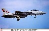 F-14A トムキャット VF-154 ブラックナイツ ヒストリー