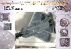 F-22A ラプター 第1戦闘航空団 第27戦闘飛行隊 03-4047