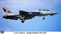 F-14A トムキャット ブラックナイツ ヒストリー