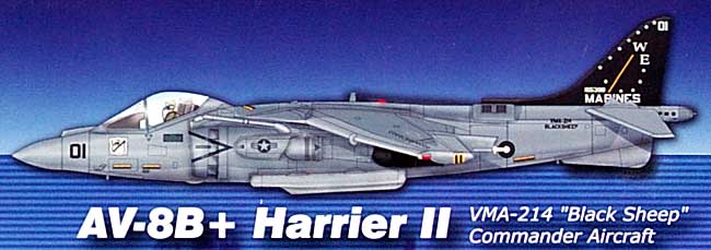 AV-8B ハリアー2 プラス VMA-214 ブラックシープ 完成品 (ホビーマスター 1/72 エアパワー シリーズ （ジェット） No.HA2603) 商品画像_1