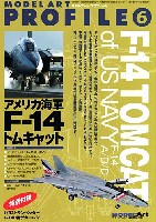 アメリカ海軍 F-14 トムキャット