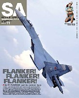 大日本絵画 Scale Aviation スケール アヴィエーション 2010年11月号