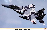 ハセガワ 1/48 飛行機 限定生産 F-15DJ イーグル アグレッサー 2009