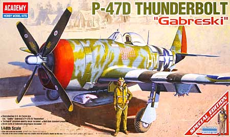 P-47D サンダーボルト ガブレスキー プラモデル (アカデミー 1/48 Scale Aircrafts No.12222) 商品画像
