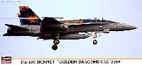 F/A-18C ホーネット ゴールデンドラゴンズ CAG 2009