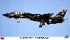 F-14D トムキャット ブラック トムキャット