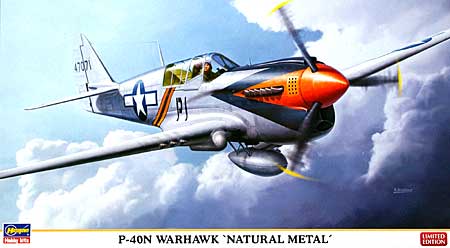 P-40N ウォーホーク ナチュラルメタル プラモデル (ハセガワ 1/48 飛行機 限定生産 No.09924) 商品画像