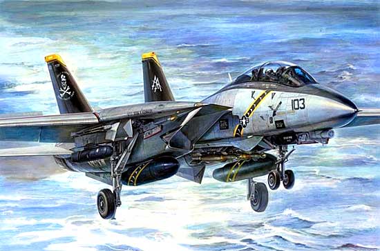 F-14B トムキャット ジョリー・ロジャース プラモデル (トランペッター 1/32 エアクラフトシリーズ No.03202) 商品画像