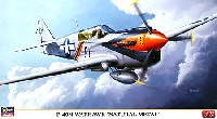 P-40N ウォーホーク ナチュラルメタル