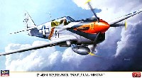 ハセガワ 1/48 飛行機 限定生産 P-40N ウォーホーク ナチュラルメタル