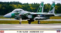 F-15DJ イーグル アグレッサー2010