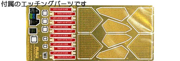 F-22 ラプター DX. エッチングパーツ付き プラモデル (フジミ バトルスカイ（BSK） シリーズ No.722252) 商品画像_1