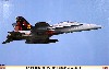 F/A-18D ホーネット 岩国 スペシャルマーキング