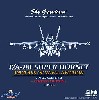 F/A-18F スーパーホーネット VFA-122 海軍航空 100周年塗装機