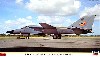 F-111C アードバーグ オーストラリア空軍 フェアウェル