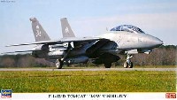 F-14B/D トムキャット ロービジ