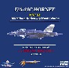 F/A-18C ホーネット VFC-12 アメリカ海軍航空 100周年記念塗装機