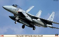 Ｆ-15J イーグル 近代化改修機 形態2型