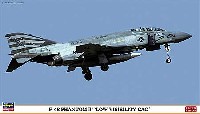 F-4S ファントム 2 ロービジ CAG