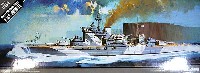 アカデミー 艦船・船舶 イギリス戦艦 HMS ウォースパイト