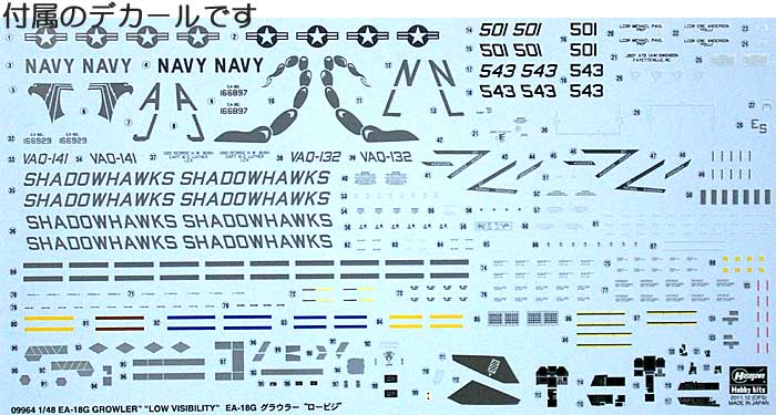 FA-18G グラウラー ロービジ プラモデル (ハセガワ 1/48 飛行機 限定生産 No.09964) 商品画像_1