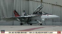 F/A-18F スーパーホーネット VFA-154 ブラックナイツ 2010