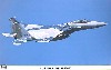F-15J イーグル アグレッサー