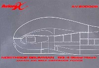 Avioni-X ダイキャスト製完成品モデル RQ-4 グローバルホーク USAF 412th Test Wing, Air Force Flight Test Center