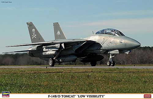 F-14B/D トムキャット ロービジ プラモデル (ハセガワ 1/48 飛行機 限定生産 No.09971) 商品画像