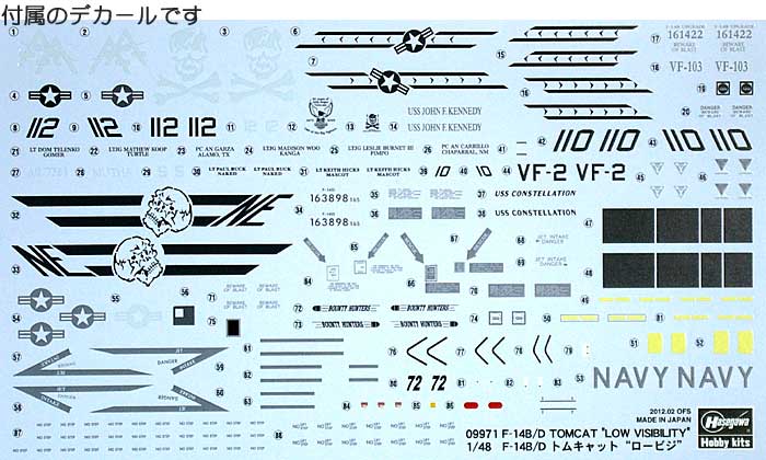 F-14B/D トムキャット ロービジ プラモデル (ハセガワ 1/48 飛行機 限定生産 No.09971) 商品画像_1