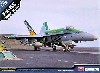 F/A-18C ホーネット CHIPPY HO！ 2009