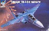 Su-27UB フランカー C型