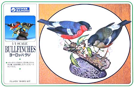 ヨーロッパ ウソ プラモデル (GSIクレオス 1/1 野鳥シリーズ No.004) 商品画像
