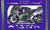 エヴァンゲリオンRT 初号機 TRICK☆STAR カワサキ ZX-10R 2010年仕様 (レジン製塗装済み完成品)