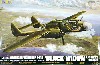 P-61A ブラックウィドウ グラスノーズ