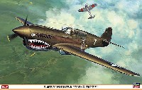 ハセガワ 1/32 飛行機 限定生産 P-40E/K ウォーホーク フライング タイガース