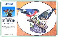 GSIクレオス 1/1 野鳥シリーズ ヨーロッパ ウソ