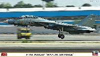 F-14A トムキャット イラン空軍