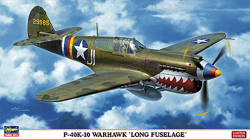 P-40K-10 ウォーホーク 長胴型 プラモデル (ハセガワ 1/48 飛行機 限定生産 No.07319) 商品画像