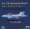 F/A-18F スーパーホーネット アメリカ海軍 VFA-41 ブラックエイセス CAG 2009