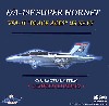 F/A-18F スーパーホーネット アメリカ海軍 VFA-41 ブラックエイセス CAG 2009