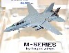 F-14A トムキャット VF-154 ブラックナイツ NF100 CAG 1994