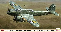 川崎 キ45改 二式複座戦闘機 屠龍 丙型 満州国軍航空隊