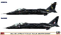 ハセガワ 1/72 飛行機 限定生産 ジャギュア GR Mk.1A/T Mk.2A ブラックジャギュア コンボ (2機セット)