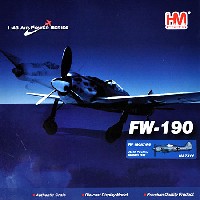 ホビーマスター 1/48 エアパワー シリーズ （レシプロ） フォッケウルフ Fw190A7/R6 パルヒム 1944