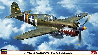 ハセガワ 1/48 飛行機 限定生産 P-40K-10 ウォーホーク 長胴型