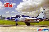 ロシア スホーイ Su-28 フロッグフット 複座練習機