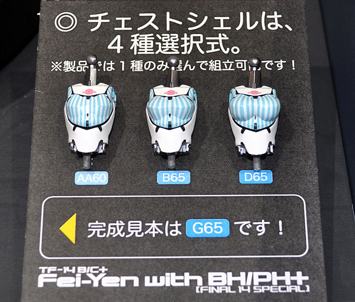 TF-14B/C＋ フェイ・イェン ファイナル14スペシャル ブルーパニック プラモデル (ハセガワ 1/100 バーチャロイドシリーズ No.VR011) 商品画像_1