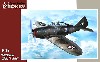 セバスキー P-35 戦闘機 訓練迷彩塗装